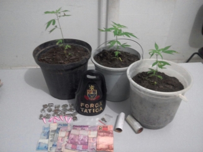 Rapaz é preso com drogas e pés de maconha