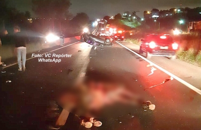  Prefeitura contrata empresa para capturar animais soltos em Marília