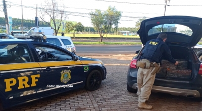 PRF apreende maconha em carro de luxo, na região