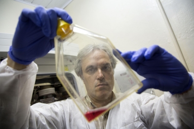 Pesquisa aponta que crise econômica global está relacionada a 260 mil mortes por câncer