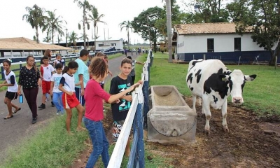Visitas Técnicas na Fazenda Experimental da Unimar proporcionam conhecimento