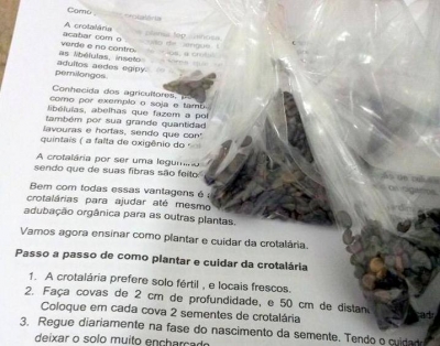 DENGUE: Sementes da crotalária acabam em poucas horas