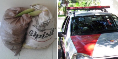 Homem furta saca de milho e acaba preso