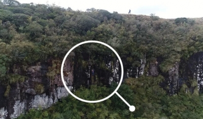 Cães caem de cânion com 200 metros de altura e são resgatados por bombeiros