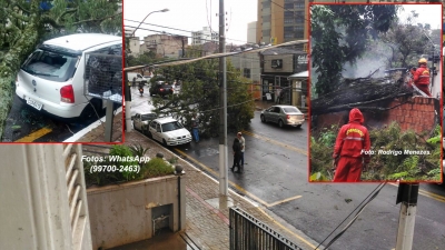 Temporal atinge Marília e região causando muitos estragos