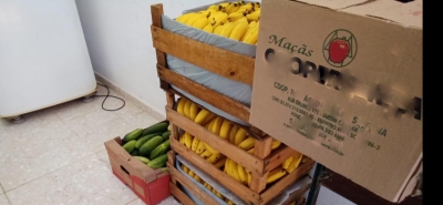 Fiscalização aponta que quase 80% de escolas não têm alvará da Vigilância Sanitária em cozinhas