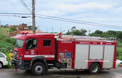 Bezerro cai em fossa e mobiliza Bombeiros