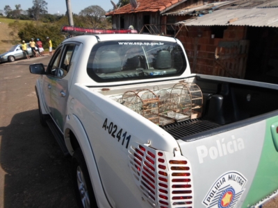 Polícia Ambiental deflagra operação na região
