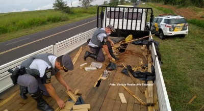 Caminhão com fundo falso carregava quase 900 quilos de maconha