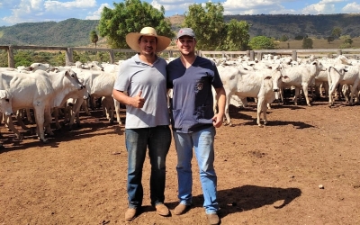 Dia do Médico Veterinário: Unimar há 35 anos é responsável por formar gerações