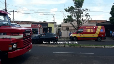 Bombeiros salvam gato em incêndio na zona sul de Marília
