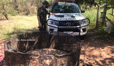 Polícia Ambiental apreende mais 30 galos em situação de maus tratos