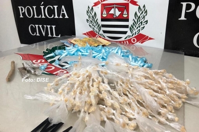 DISE faz operações em Marília e apreende drogas e menor de 15 anos no tráfico