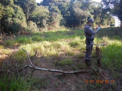 Produtor recebe pesada multa por crime ambiental
