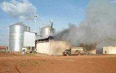 Incêndio destrói fábrica          de ração em granja