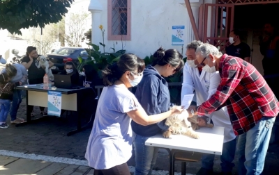 Prefeitura de Marília realizará nova campanha de vacinação antirrábica 