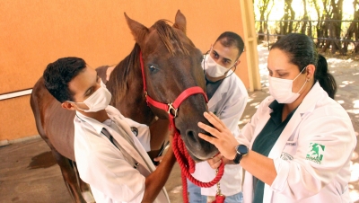 Simpósio de Medicina Veterinária Integrativa da Unimar aborda tecnologia e bem-estar animal