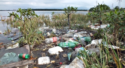 Eu sou capaz de gerar impacto ao Meio Ambiente?