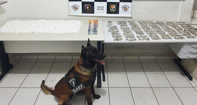 Em Marília, traficante tenta esconder droga em bambuzal. Mas...