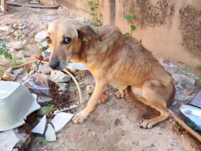 Durante sessão da Câmara, vereador diz que 