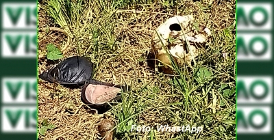 Polícia Militar descobre ossada humana em Marília