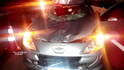 Cavalo na pista causa acidente e deixa casal ferido