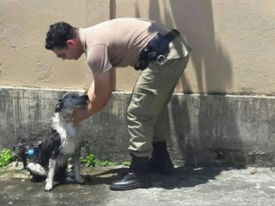 Cão recebe banho de mangueira da PM após desmaiar