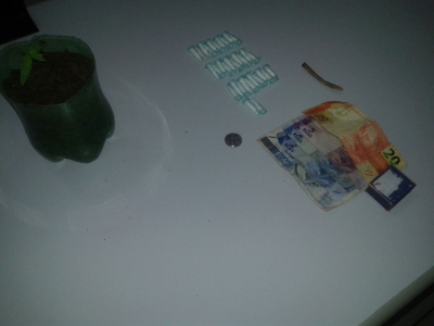 PM apreende pé de maconha em ponto de ônibus