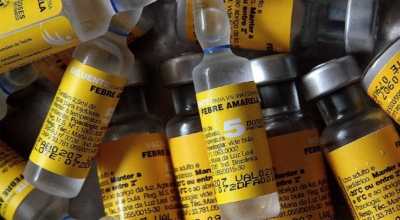 ALERTA: Febre amarela matou 12 pessoas no estado desde o ano passado