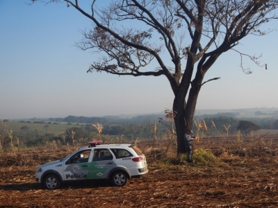 Queimada termina em multa milionária na região