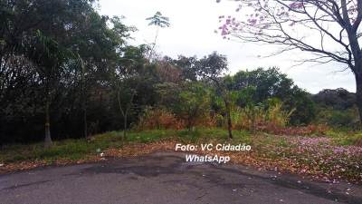 Moradores reclamam de esgoto na zona Oeste