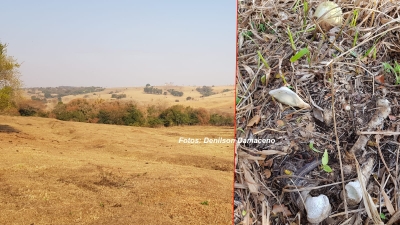 Ossada humana é encontrada nesta manhã em Ocauçu