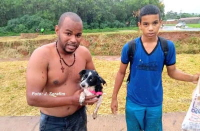 Herói: homem se arrisca para salvar cachorrinha que caiu em rio 