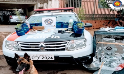 Com apoio do Canil, PM prende casal com veículo roubado e droga na região