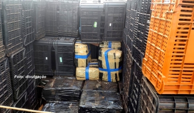 Polícia Rodoviária apreende drogas em caminhão e ônibus