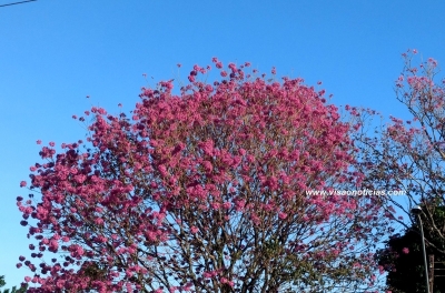 Começa o inverno, com previsão de pouca chuva