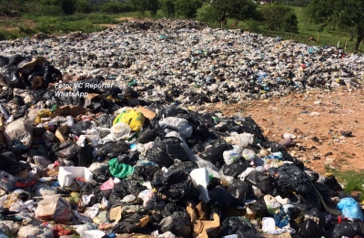 Lixo é colocado até em galhos. Mutirão prossegue