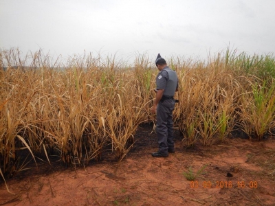 Satélite ajuda Polícia Ambiental a localizar queimadas