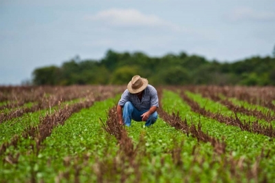 Receita prorroga adesão ao Refis Rural para 28 de dezembro