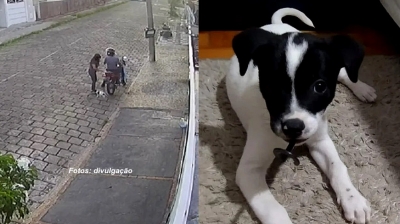 Mulher que abandonou filhote de cachorro é indiciada pela polícia