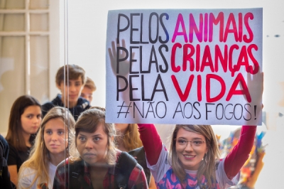 Campanha educacional será lançada para conscientizar população a não soltar fogos de artifício