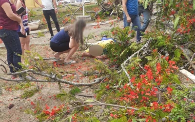 Carteiro fica ferido após ser atingido por árvore, na região