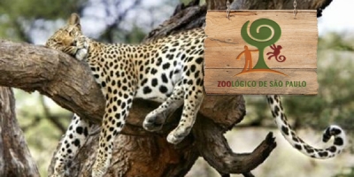 Zoológico acre inscrições para concurso