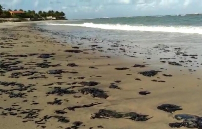 Manchas de óleo atingem Baía de Todos-os-Santos, na BA, e Maragogi, em AL