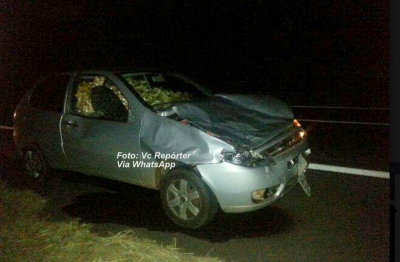 Carro atropela vaca na SP-294. Motorista sai ileso