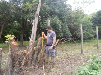 Polícia constata crime ambiental em Marília