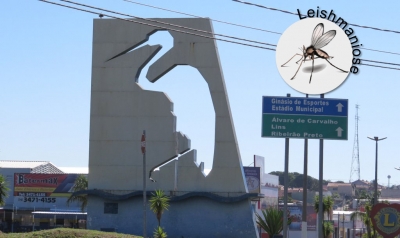 Garça faz armadilhas para detectar mosca transmissora da leishmaniose