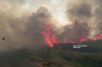 Incêndios se alastram em Marília e região