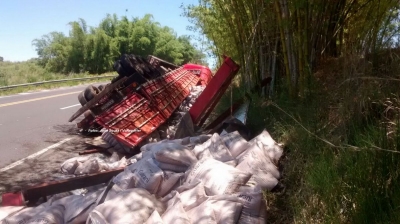 Motorista fica ferido em acidente na rodovia SP-333