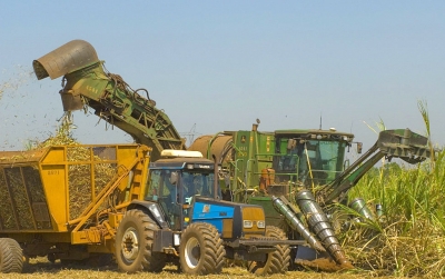 Produção da agricultura paulista aumenta em mais de 90% em duas décadas